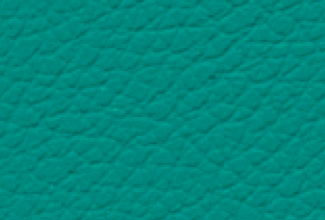 HEALTH GREEN