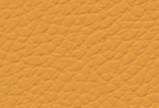 LIGHT ORANGE