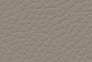 LIGHT STONE