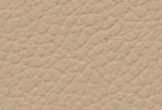 PERLE